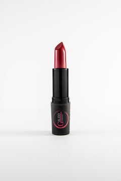 SET 4 RUJURI PROFESIONALE- LONG LASTING